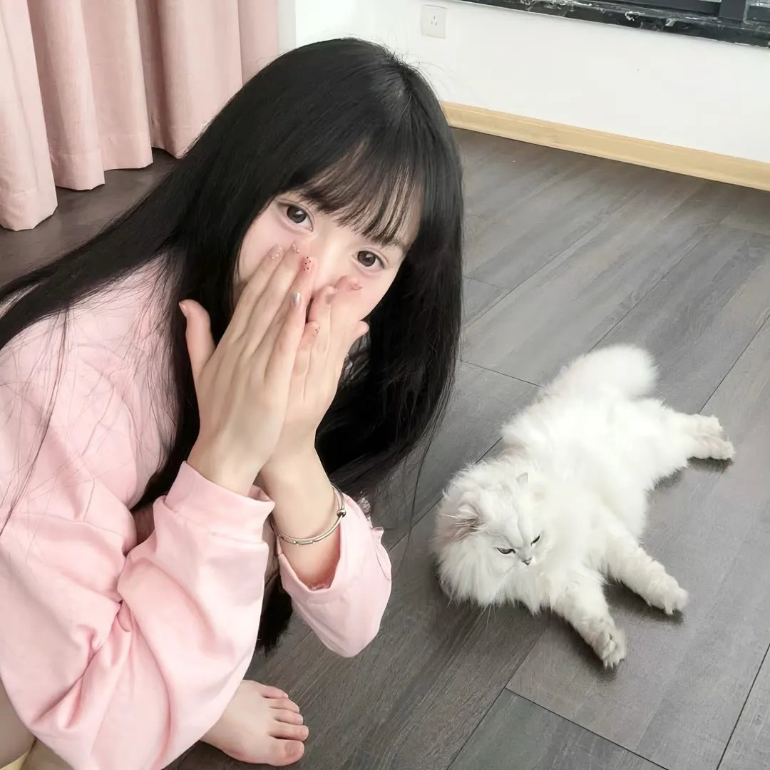 陆昭昭的刺客笔记